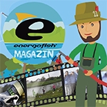 Energofish magazinajánló - július