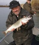 Pergetés az őszi Dunán