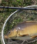 Tavaszi feeder próba