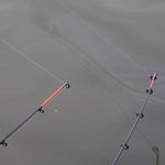 Light vagy Heavy feeder?