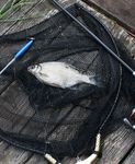 Matchbottal a Ráckevei Duna-ágon 