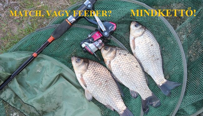 Match, vagy feeder? Mindkettő!