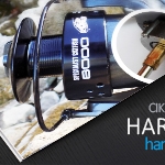 Harcsára hangolódva