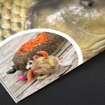 Carp Expert PVA praktikák
